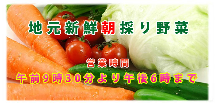 地元新鮮朝採り野菜