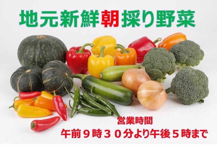 地元新鮮朝採り野菜